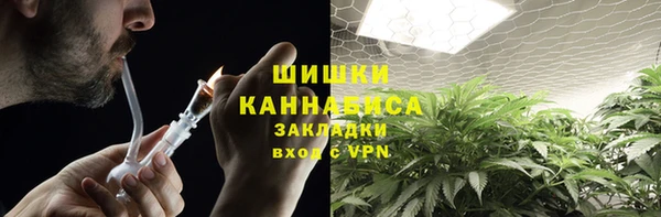шишки Нязепетровск