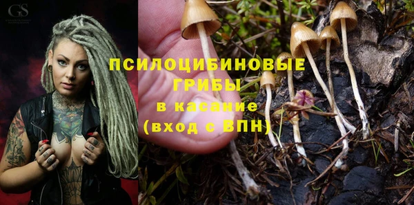 а пвп мука Гвардейск