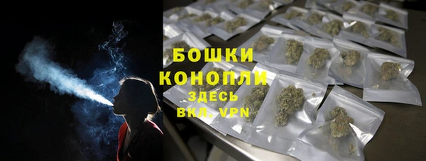 шишки Нязепетровск