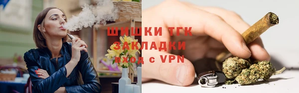 стафф Гатчина