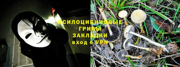 круглые Няндома