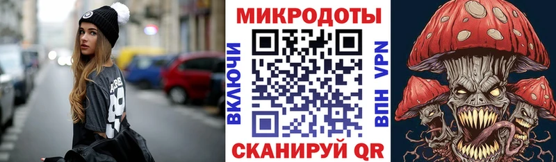хочу наркоту  Калининец  Галлюциногенные грибы Psilocybine cubensis 